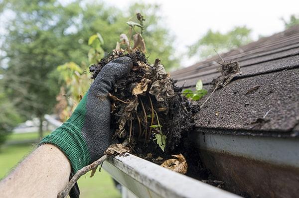 we offer seasonal gutter cleaning packages for added convenience